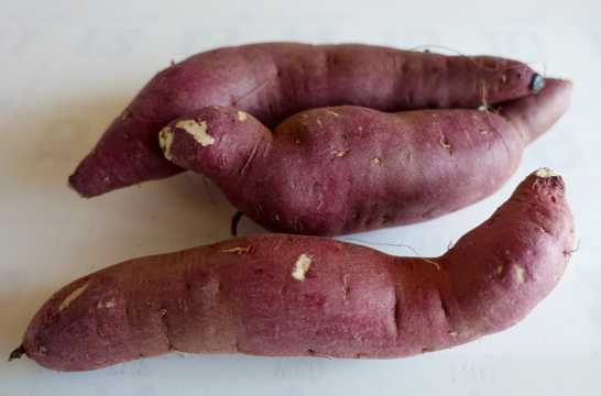 新绯红薯图片