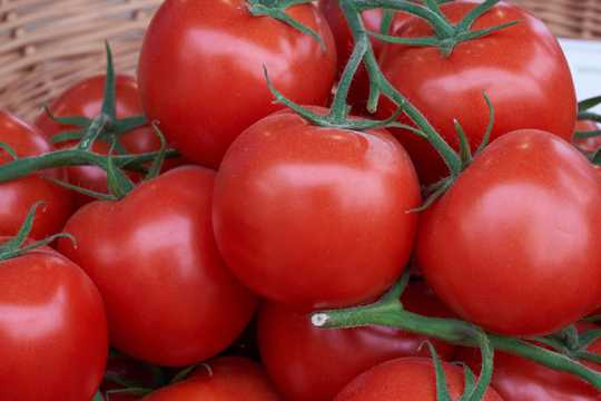 红西红柿新鲜图片