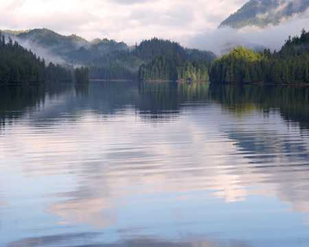 早晨湖水树木景物图片