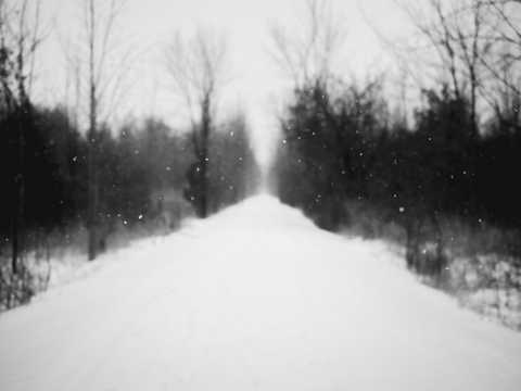 黑白境界冬天雪景图片