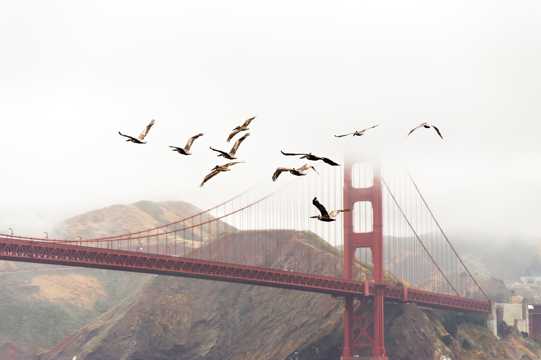 美国旧金山金门大桥光景图片