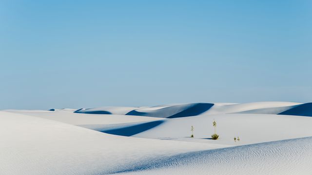 雪与大漠
