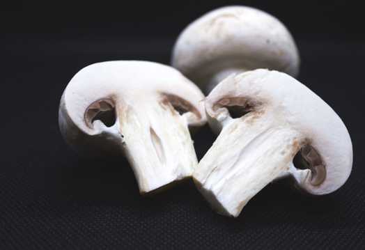 白蘑菇蔬菜图片