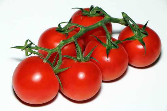 新鲜的水果番茄图片