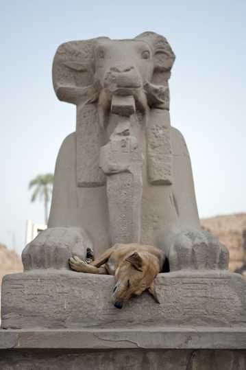 埃及阿斯旺景物图片