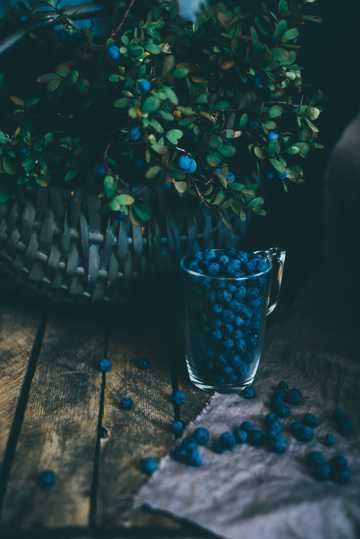 新鲜蓝莓果图片