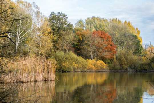 秋日的河流景观图片