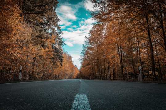 唯美秋季道路景致图片