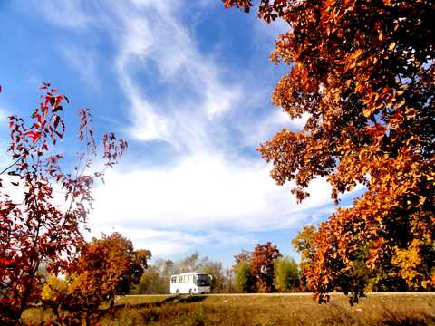郊外秋季自然风光图片