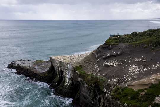 新西兰鸟岛景色图片